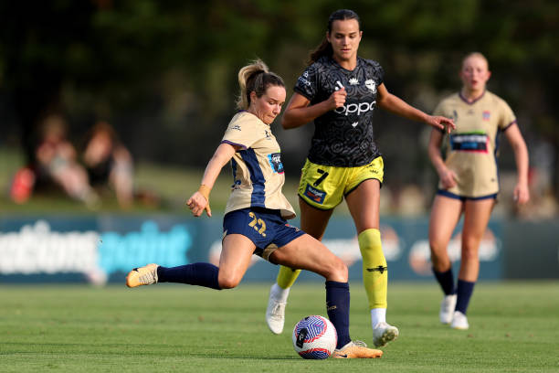 和互动性极 和互动性极