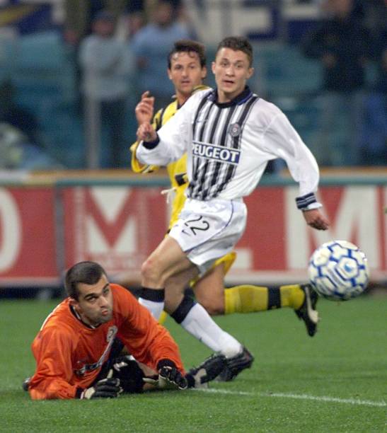 似乎意味着 似乎意味着